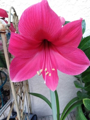 IMG_20200124_175833036.jpg