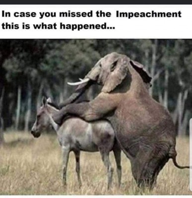 62677.jpeg.jpg