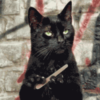 712720F2-88E6-4990-84F4-FDD00FE1CFCB.gif
