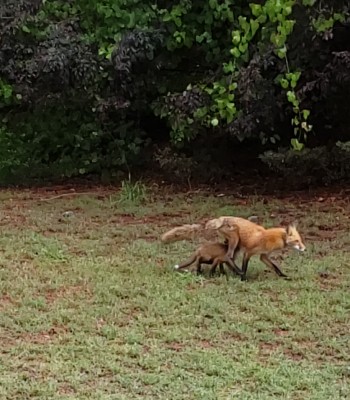 20200510_122823.jpg
