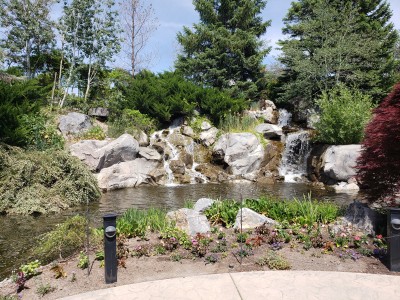 20200527_144451.jpg