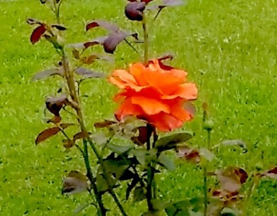 20200604_000328.jpg