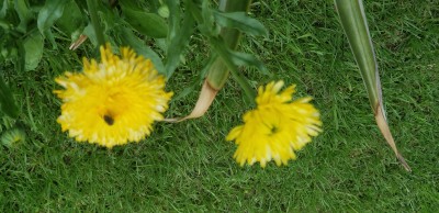 20200605_120129.jpg