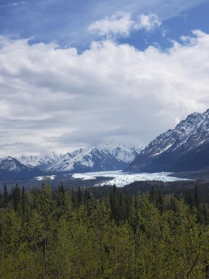 mnt3.jpg