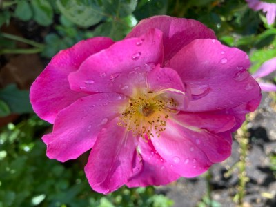 IMG_0094.jpg