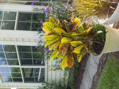 20200726_112922.jpg